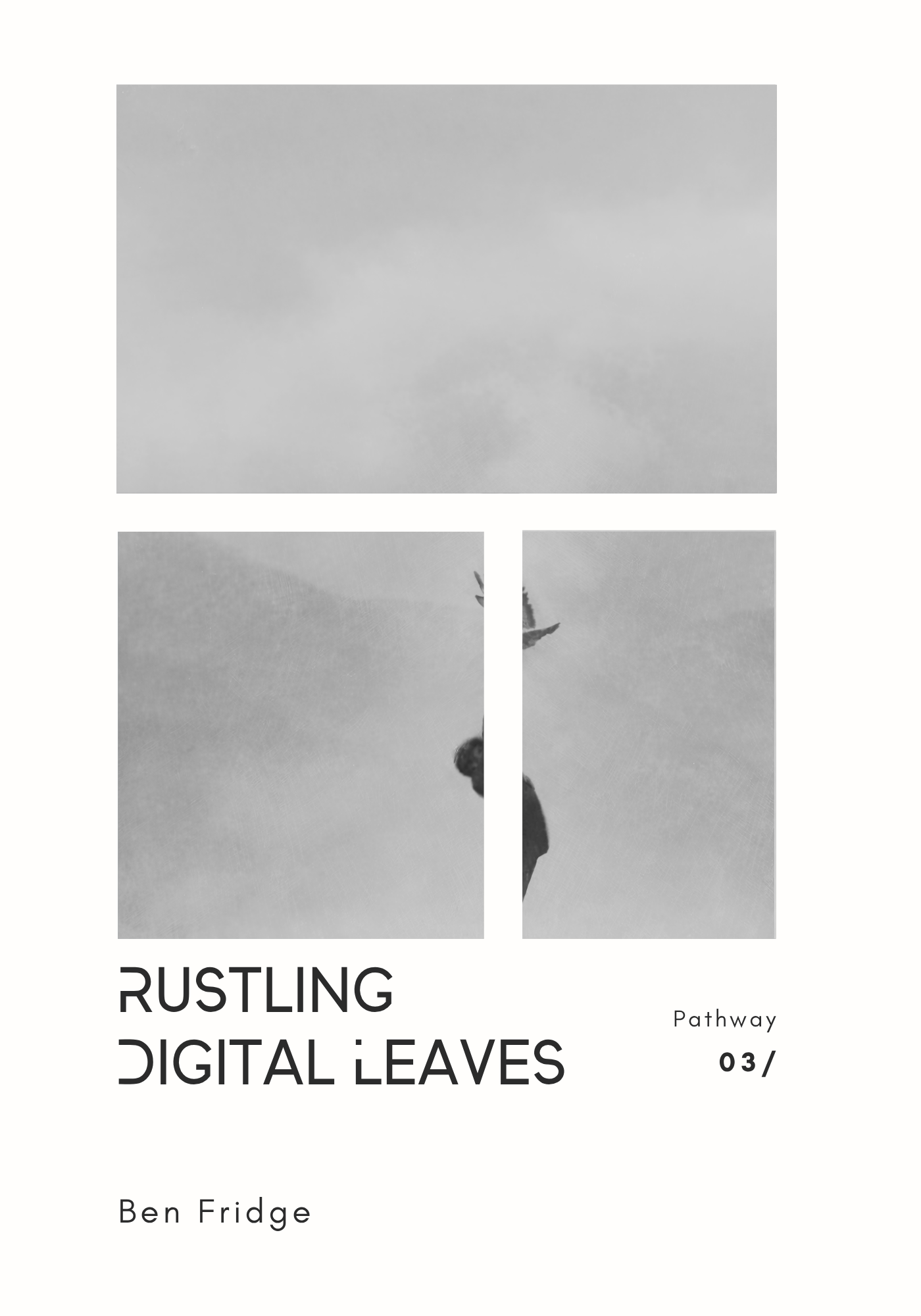 Rustling Digital Leaves